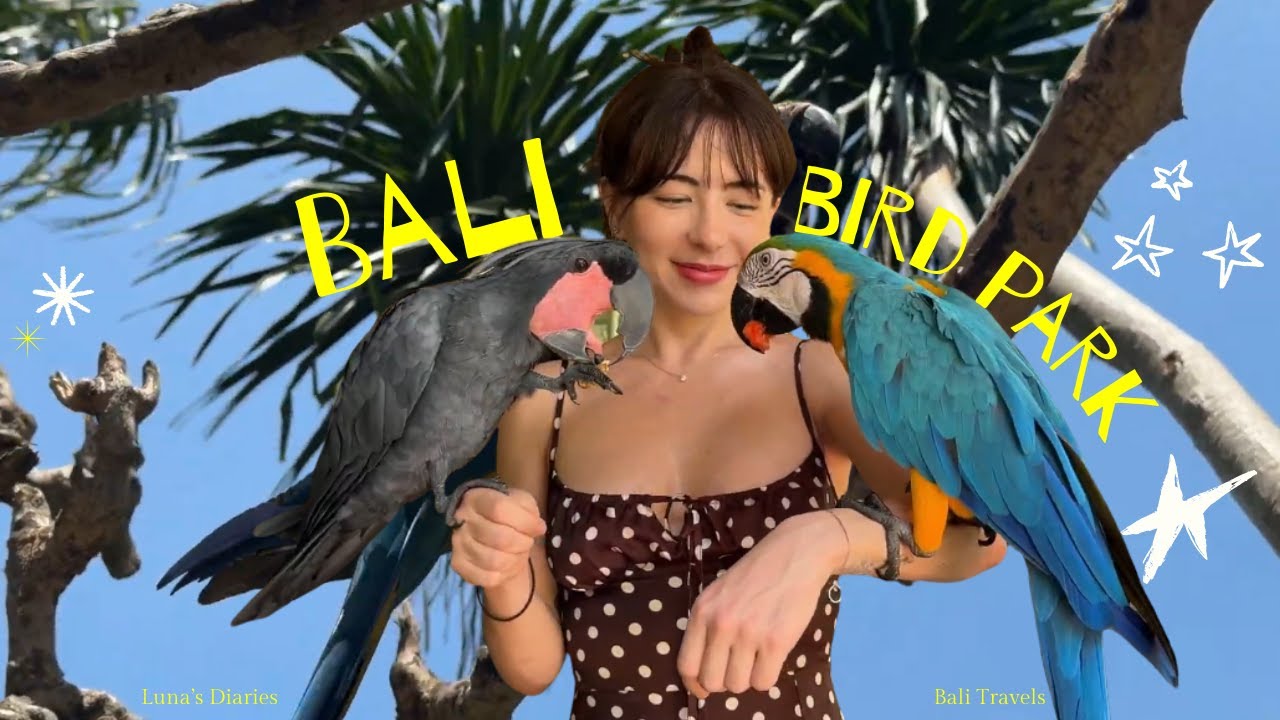Мечта безумной любительницы птиц сбылась ✨ | Парк птиц Бали 🦜🌴