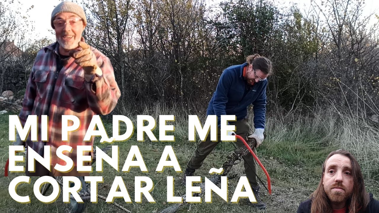 C&oacute;mo cortar madera con una sierra de mano para hacer le&ntilde;a