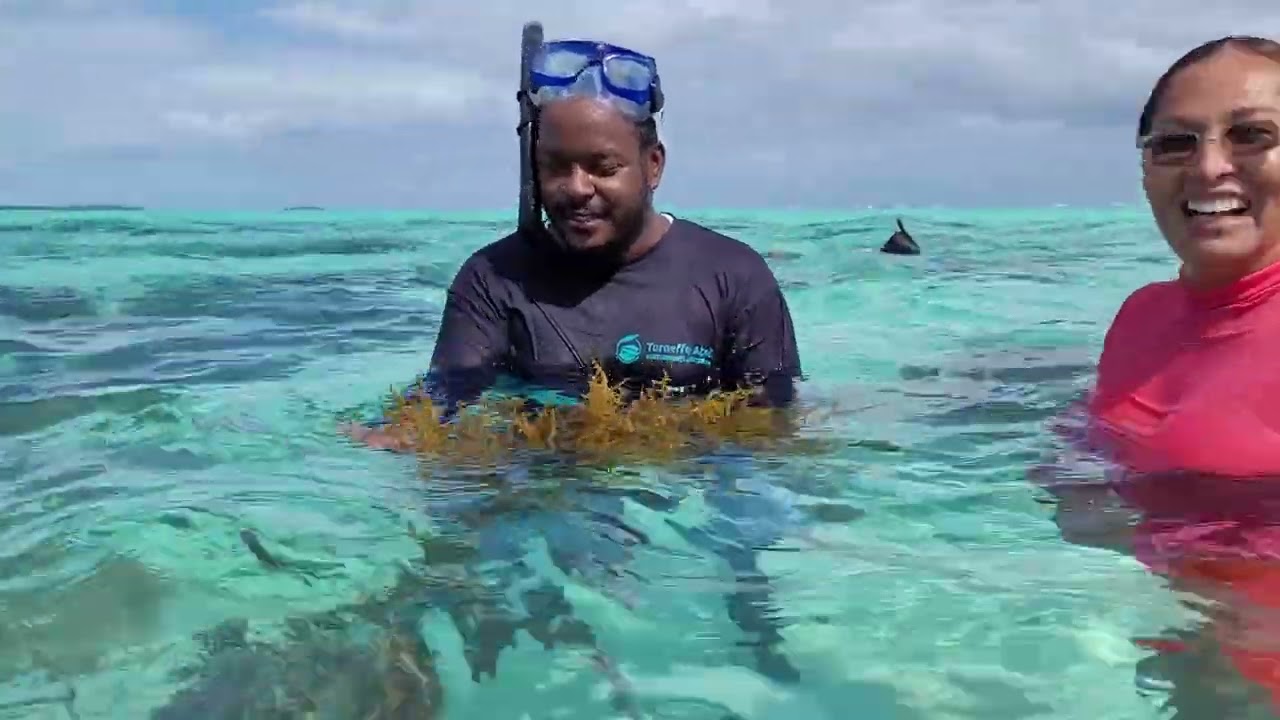 Seaweed Farming – an Alternative, Economical Livelihood for Fishers