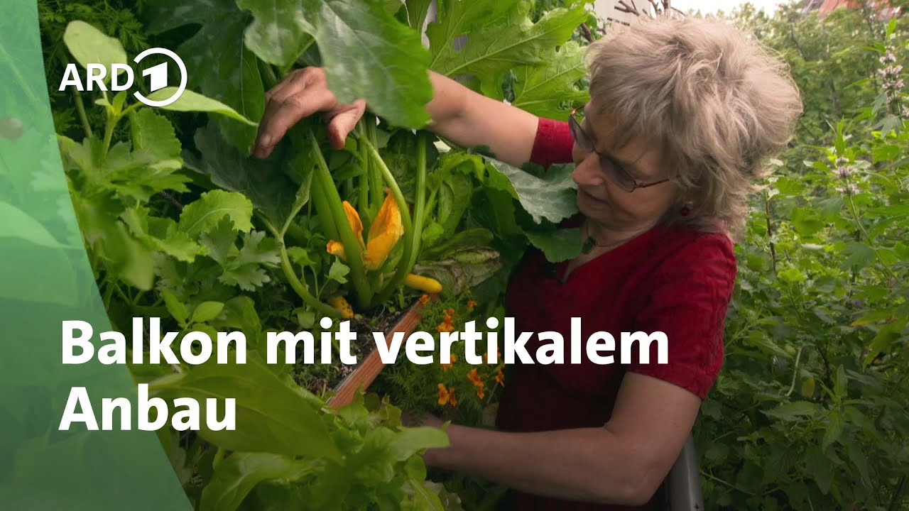 Balkonien: Selbstversorgung mit vertikalem Anbau | MDR Garten