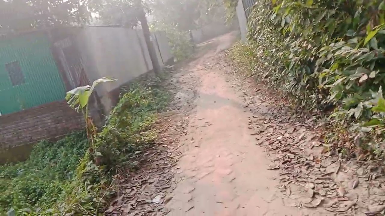 আমার ছেলে আর আমার ছেলের বউ আমার সাথে কেমন আচরণ করেছে ভিডিও দেখলে বুঝতে পারবেন