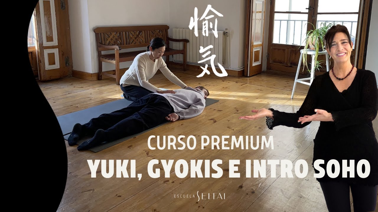 ¿Dónde y cómo aprender Yuki, Gyokis y Soho profesional del SEITAI?