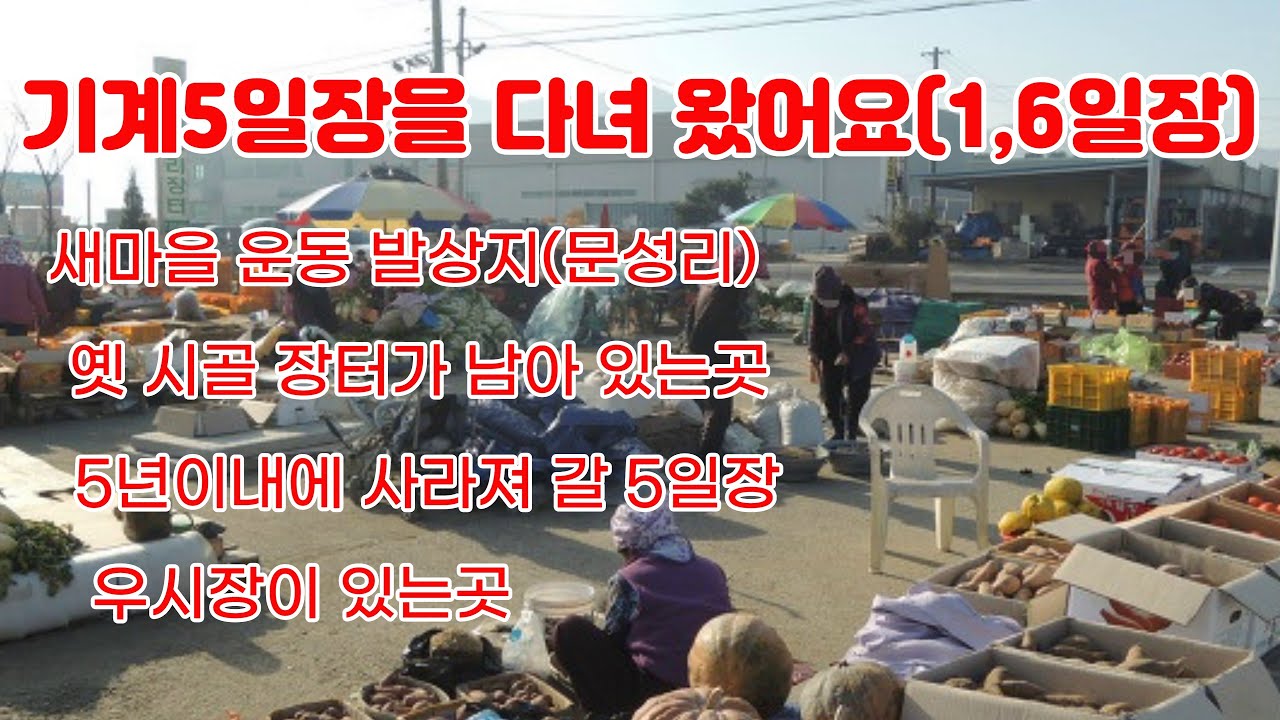 ep15 기계유씨 본관,새마을 발상지 기계5일장에 다녀 왔어요_가짜농부의 시골생활