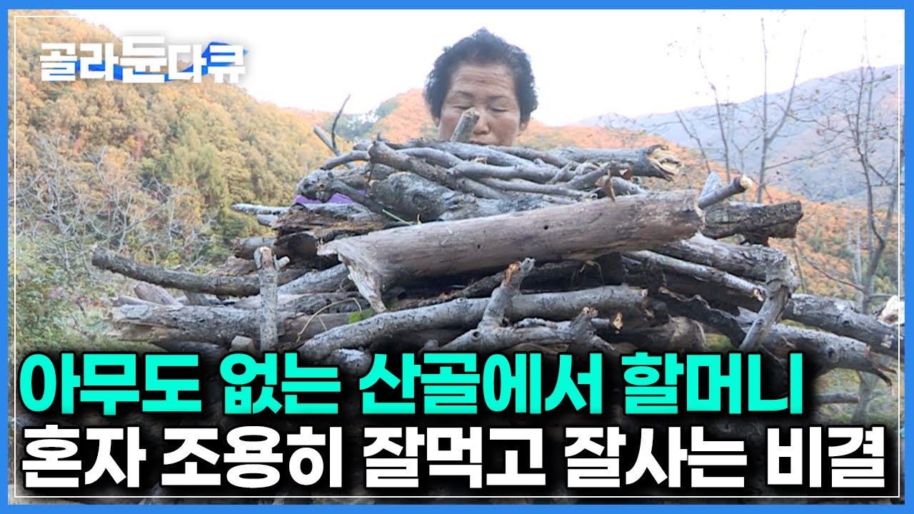 웬만한 남자보다 힘이 좋다｜혼자 나무 캐고 밭일하고 50년 넘게 한 곳에서 혼자 잘먹고 잘사는 할머니｜한국기행｜#골라듄다큐