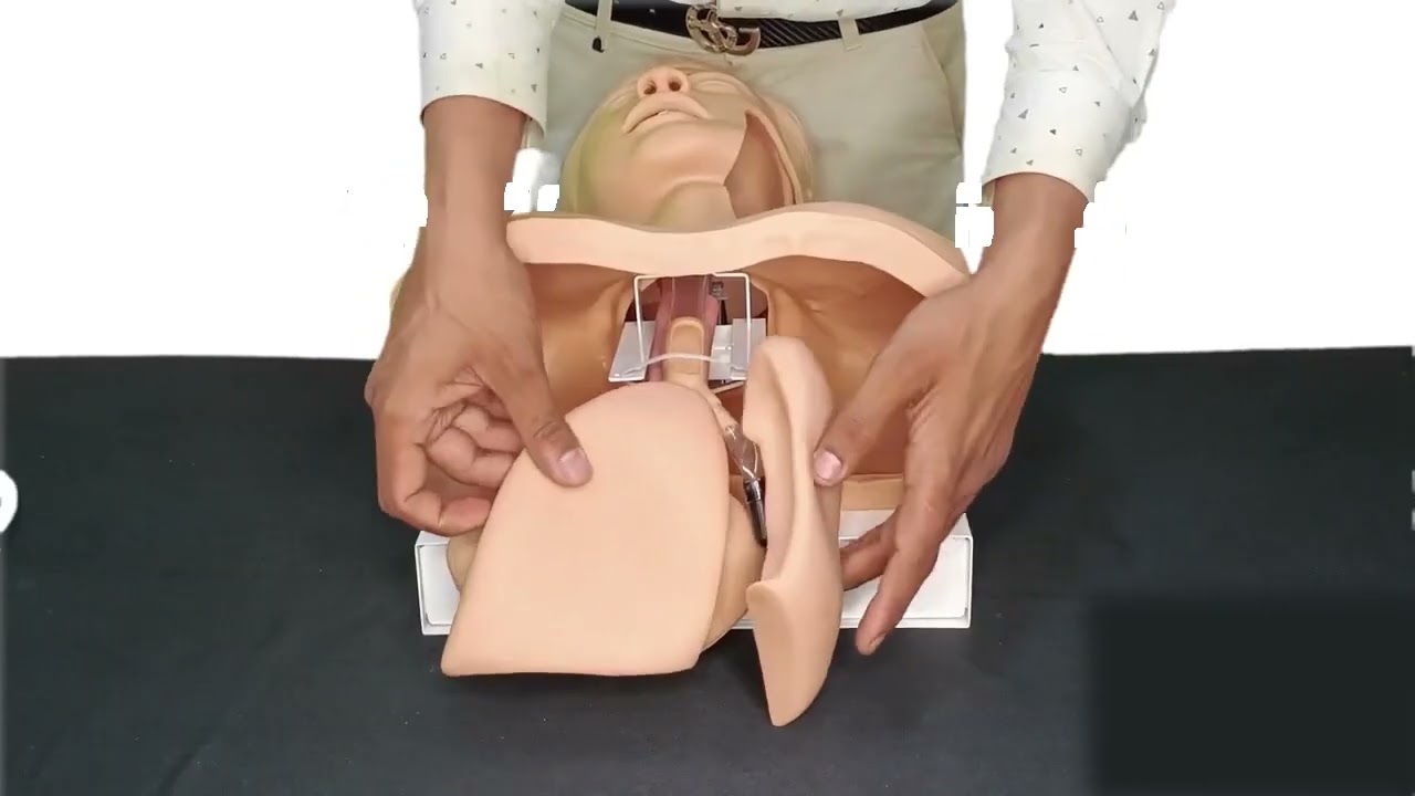 Airway Intubation Model