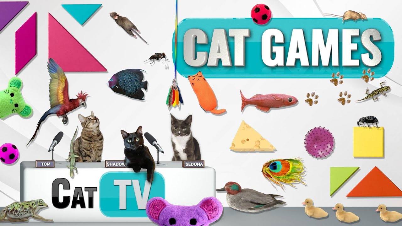 КОТ-игры | Лучшая подборка Cat TV, том 48 | 2 ЧАСА 🐝🐞🦋🦎🦜🐜🐭🧵