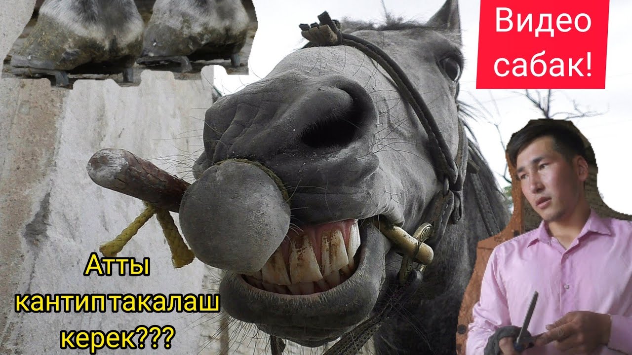 Атты кантип такалаш керек?