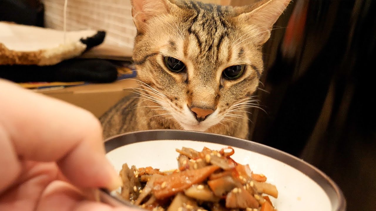 ご飯を作りながら今後について話させてください。【レンコンがうまい】