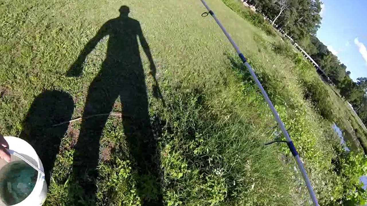 URBAN CREEK HOPPING - Dayton, Tn