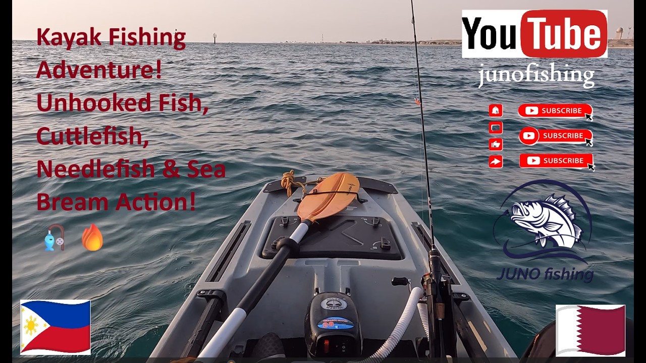 Kayak Fishing Adventure! Unhooked Fish, Cuttlefish, Needlefish & Sea Bream Action! 🎣🔥