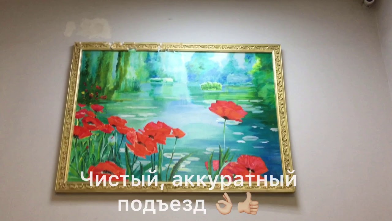 Павлино, 69, 11 этаж