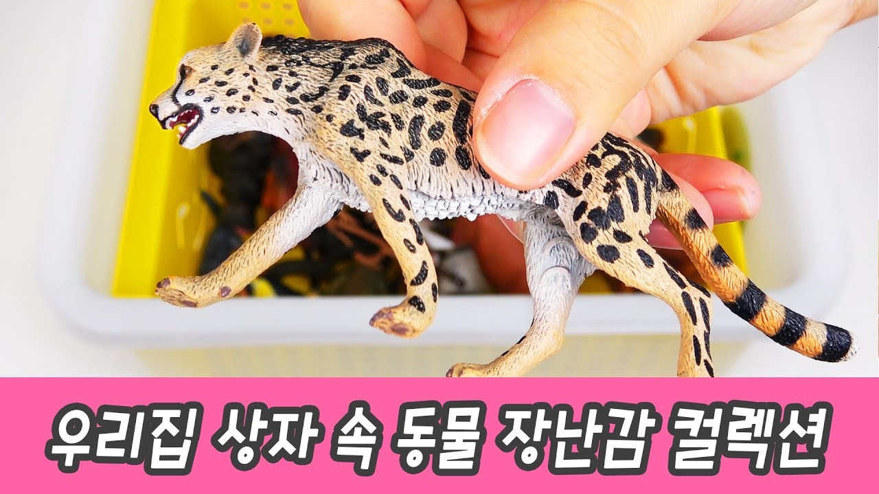 한국어ㅣ우리집 상자 속 동물 장난감 컬렉션, 동물 이름 맞추기, 컬렉타 피규어ㅣ꼬꼬스토이