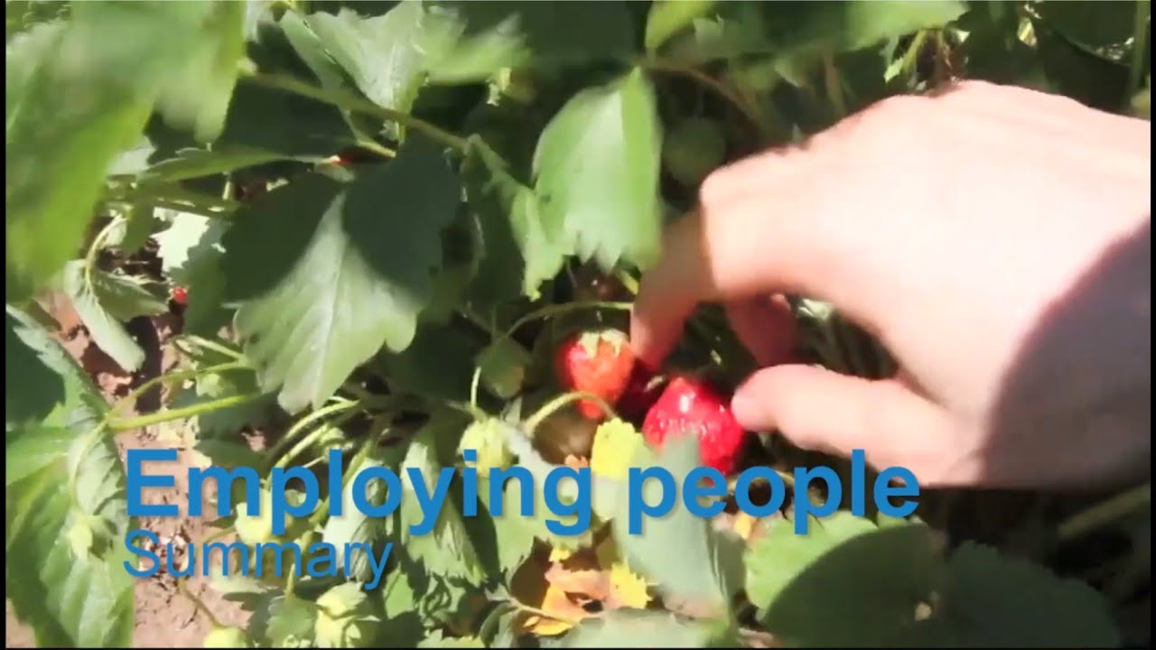Employing people - summary