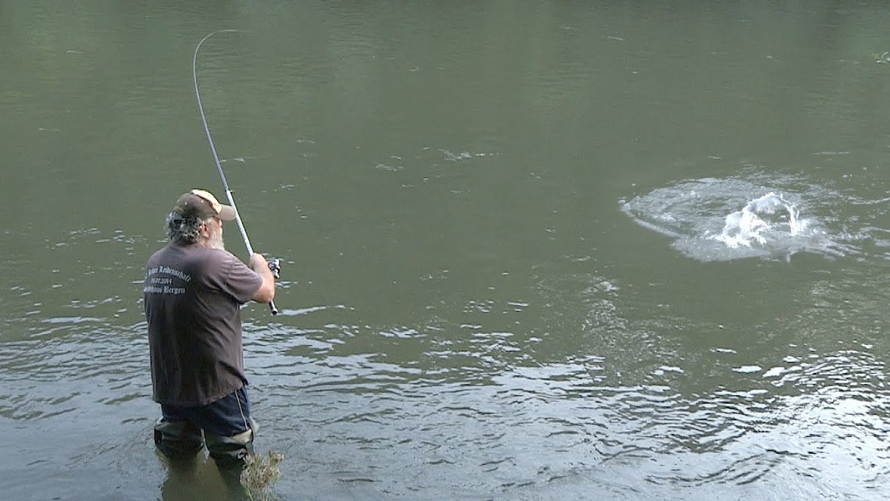 Pecanje na plovak - reka Ibar kod Kraljeva - skobalj, bela riba | Fishing on float