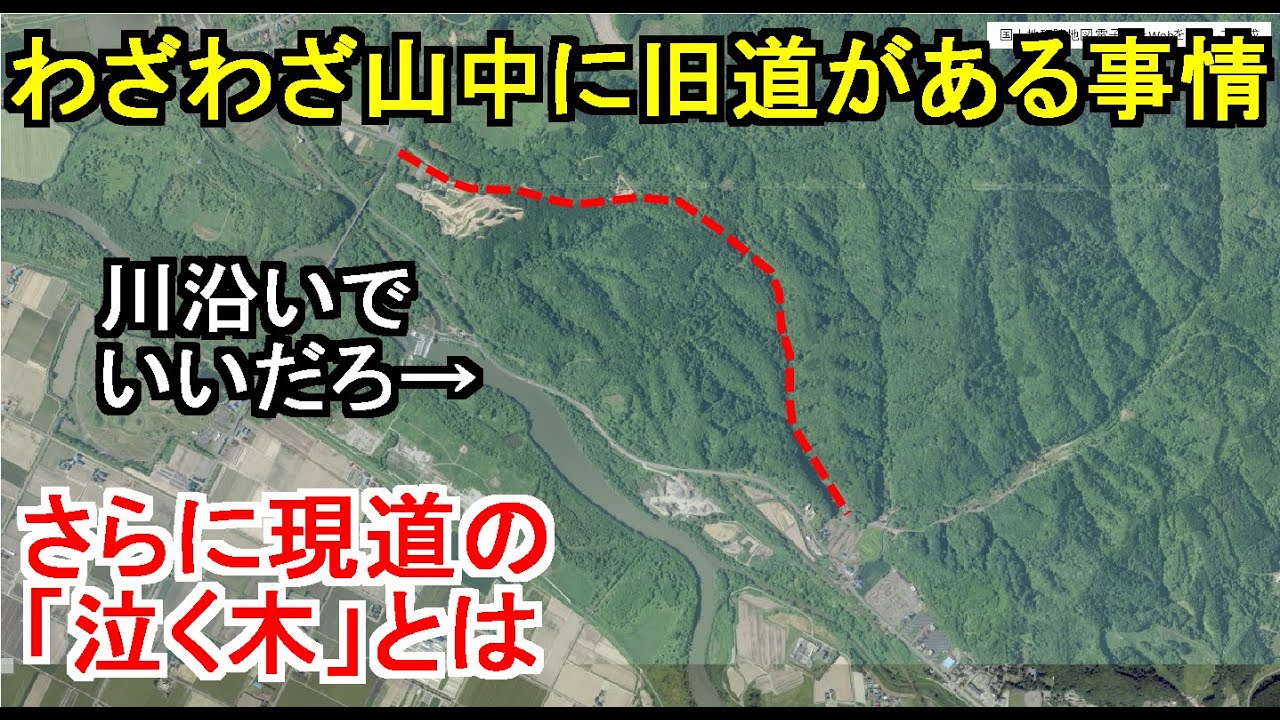 【切ってはいけない木】誰も気付かない！山に追いやられたかつての幹線道路廃道を探索、現道の泣く木伝説と跡地も紹介