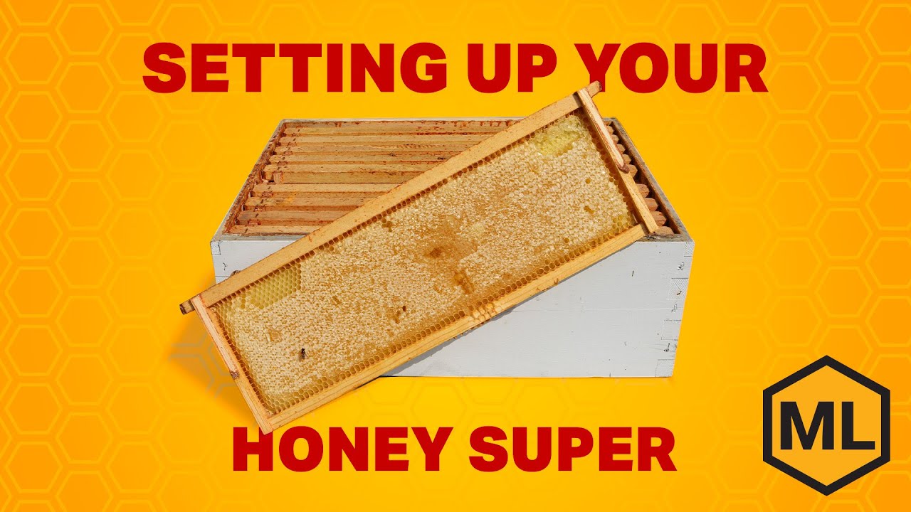 Setting Up Your Honey Super &ndash; Beekeeping Equipment Tips