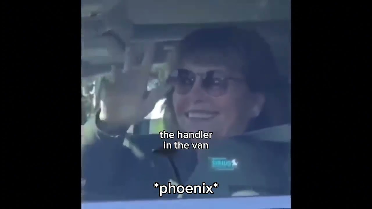 ieytd as vines