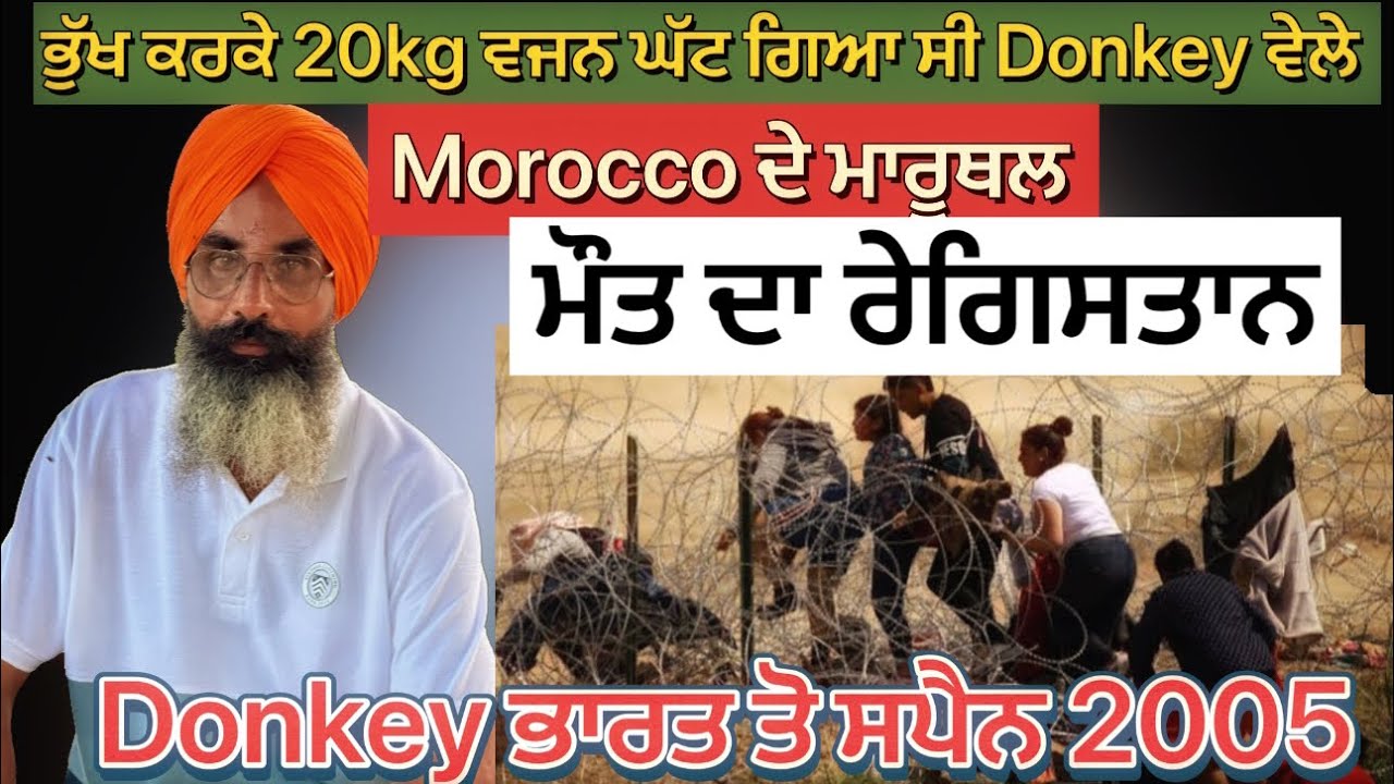 Donkey story spain Europe ਸਾਨੂੰ ਨਹੀ ਪਤਾ ਸੀ Donkey ਕੀ ਹੁੰਦੀ ਆ #podcasts #usadonkey #punjabi