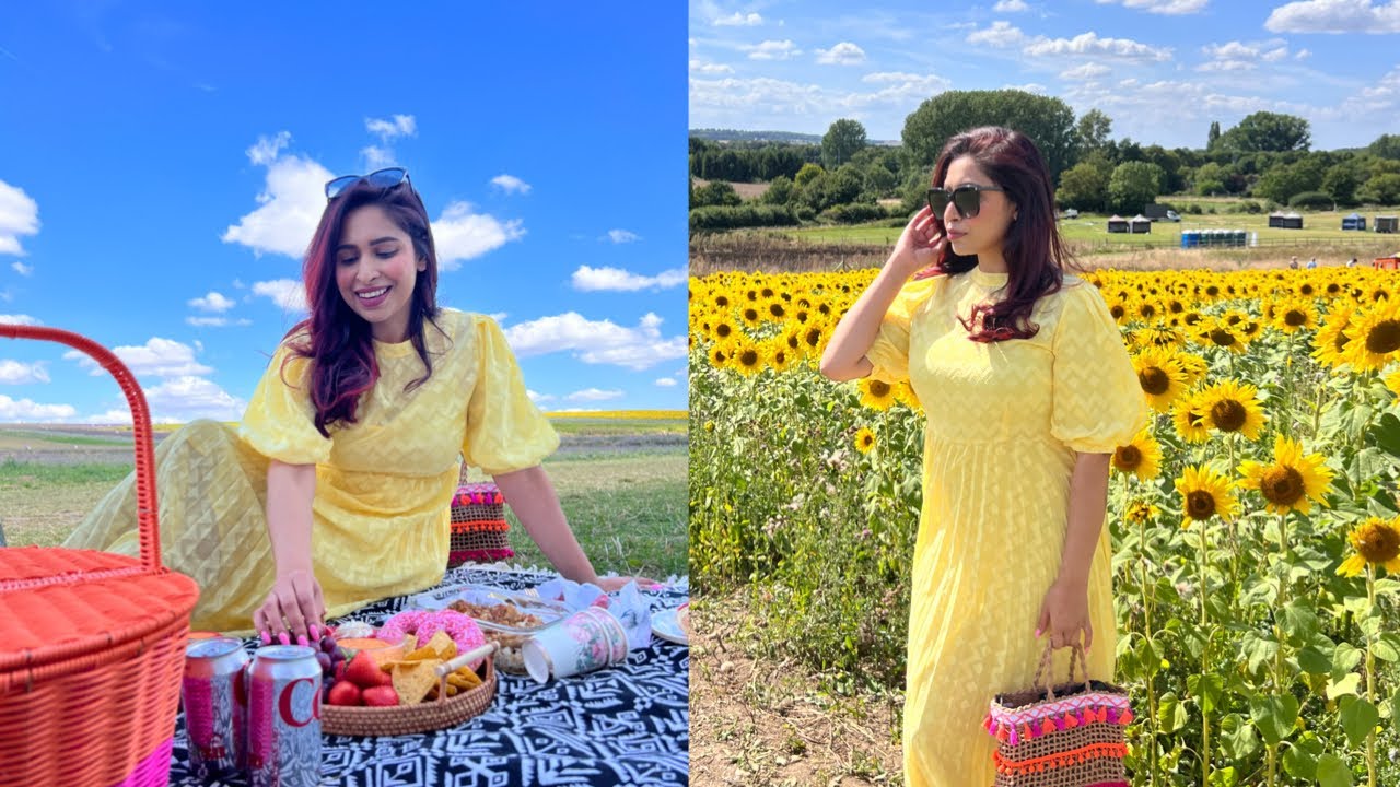 সূর্যমূখী আর ল্যাভেন্ডারের মাঝে পিকনিক 🌻🪻