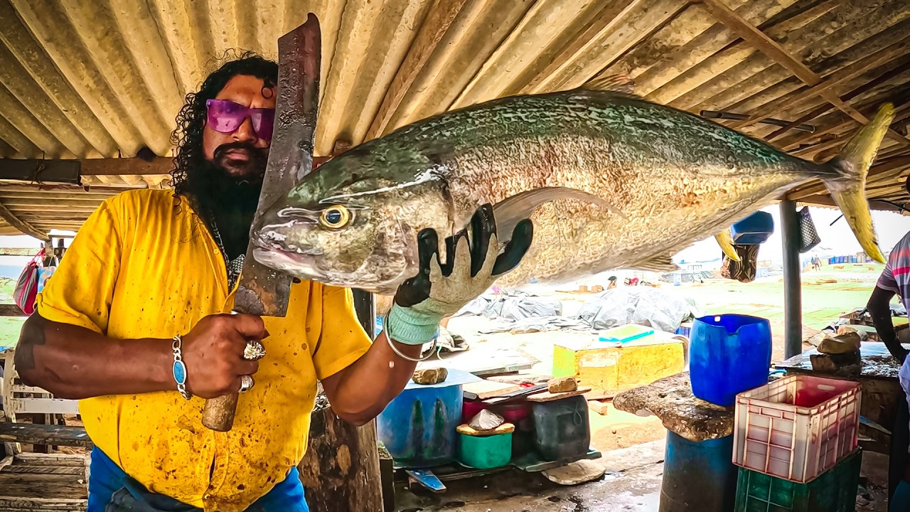 Giant Bludger Trevally vs  One Sharp Knife!