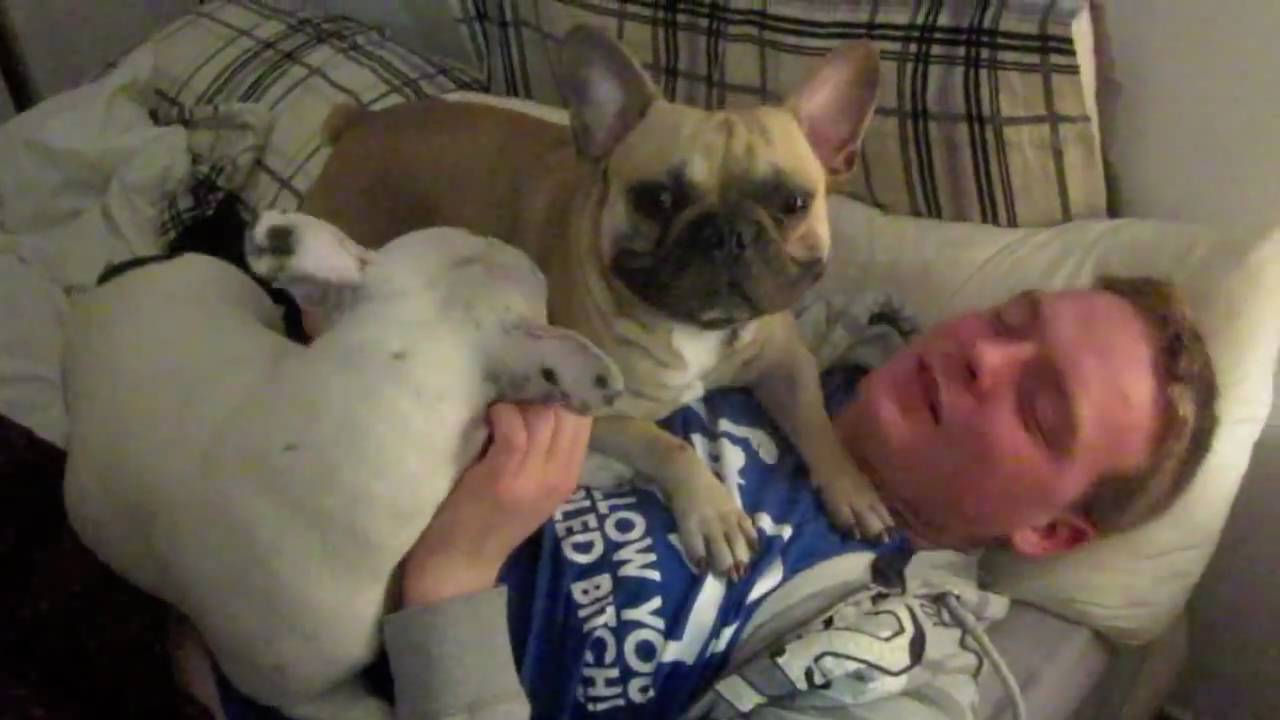 Spanglish Christmas (25/12/09)