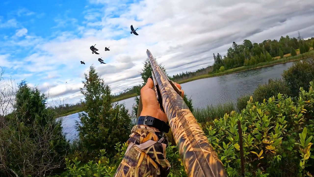 Early Season GOOSE HUNTING Over WATER In Eastern ONTARIO With My LABRADOR RETRIEVERS!