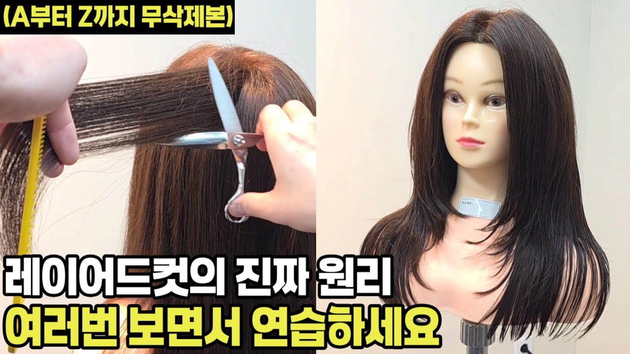 긴머리 레이어드컷 자르는법 총정리편 섹션 각도 질감처리까지 (커트교육,커트강의,헤어디자이너)