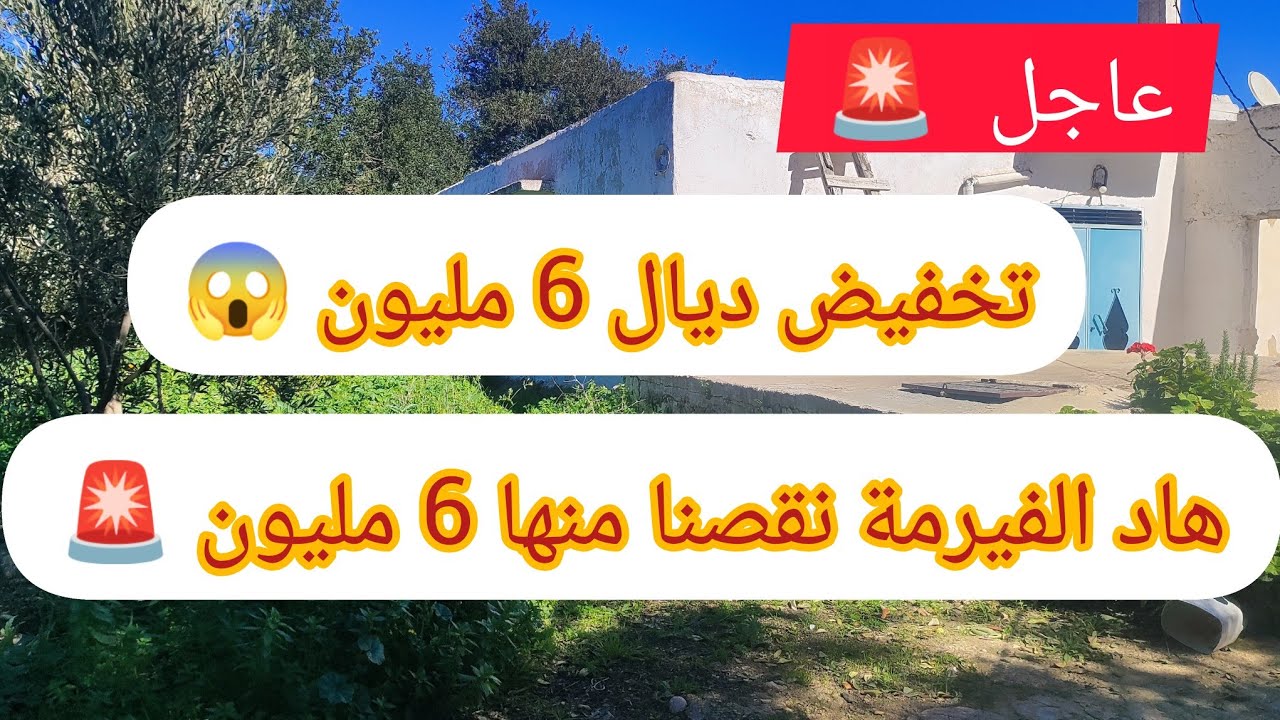 عاجل عاجل 🚨 فيرمة نقص منها المالك ديالها 6 مليون 😱 فيها تقريباً نصف هكتار مجهزة بمنزل وكوري الماشية