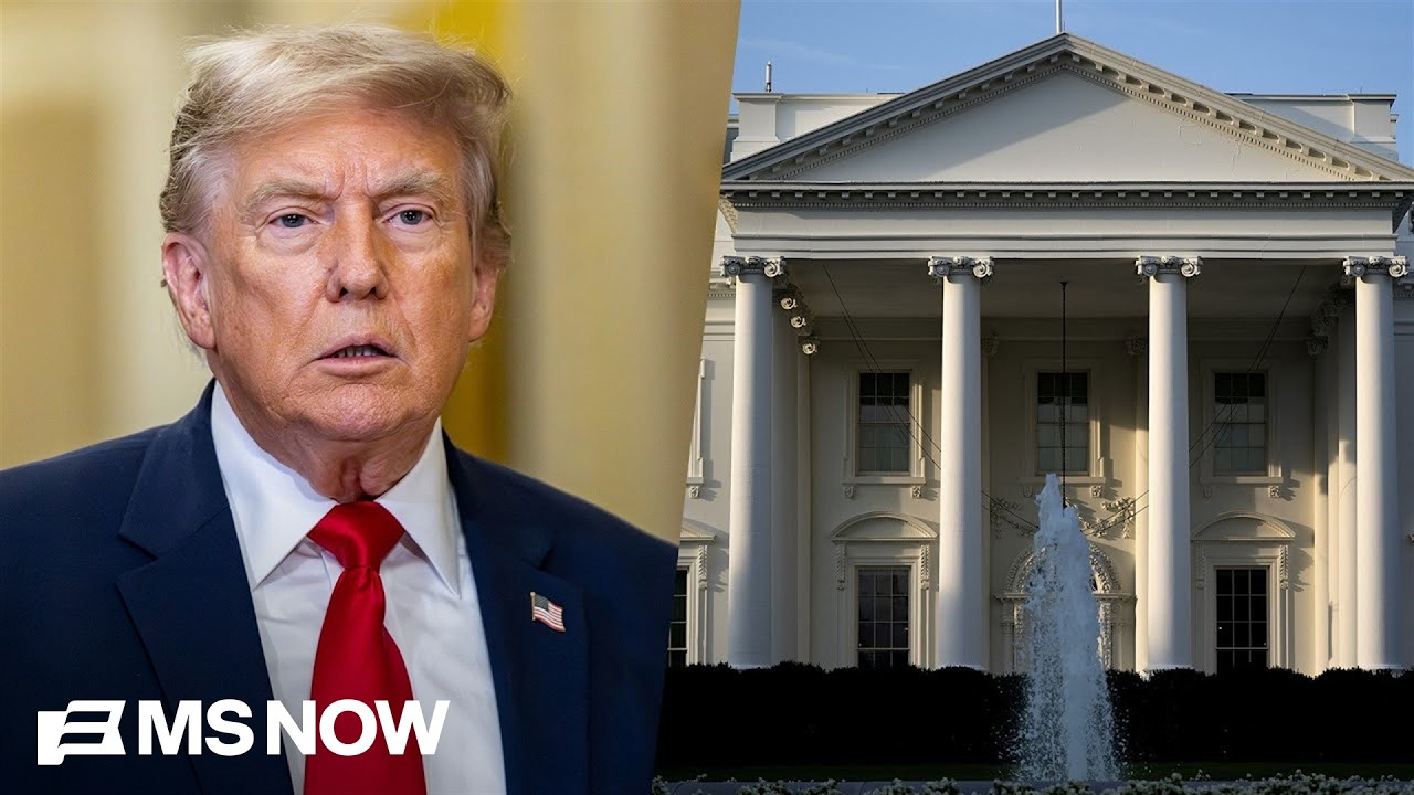 Michael Steele tears into Trump's newest White House construction project