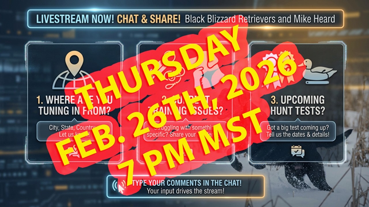 New Content Revealed! Black Blizzard Retrievers Live
