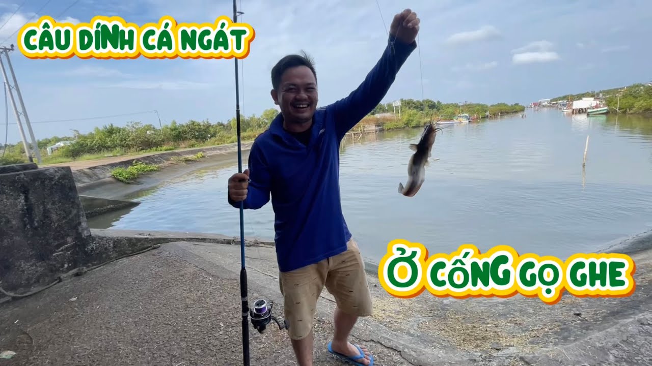 CÂU DÍNH CÁ NGÁT Ở CỐNG GỌ GHE GẦN BIỂN