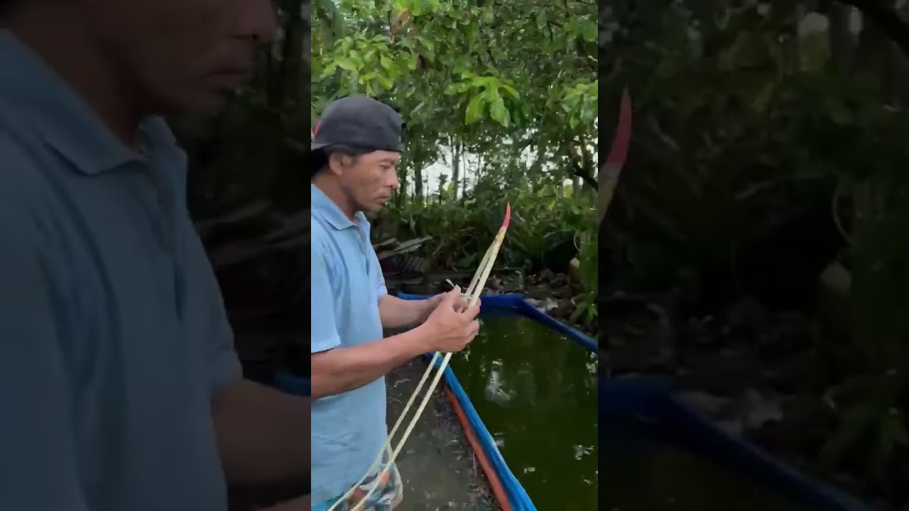 Ghe ngo đi&ecirc;n điển bảy g&agrave; #ghengodiendien