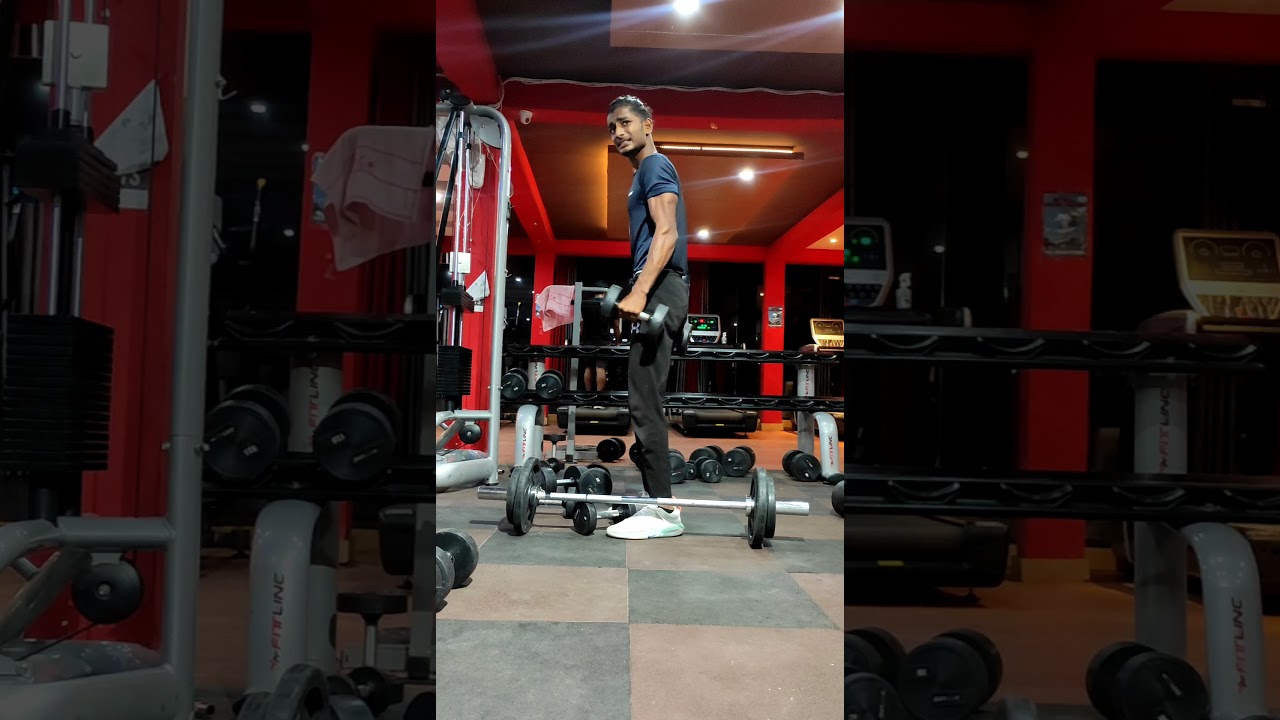 Biceps or triceps day 