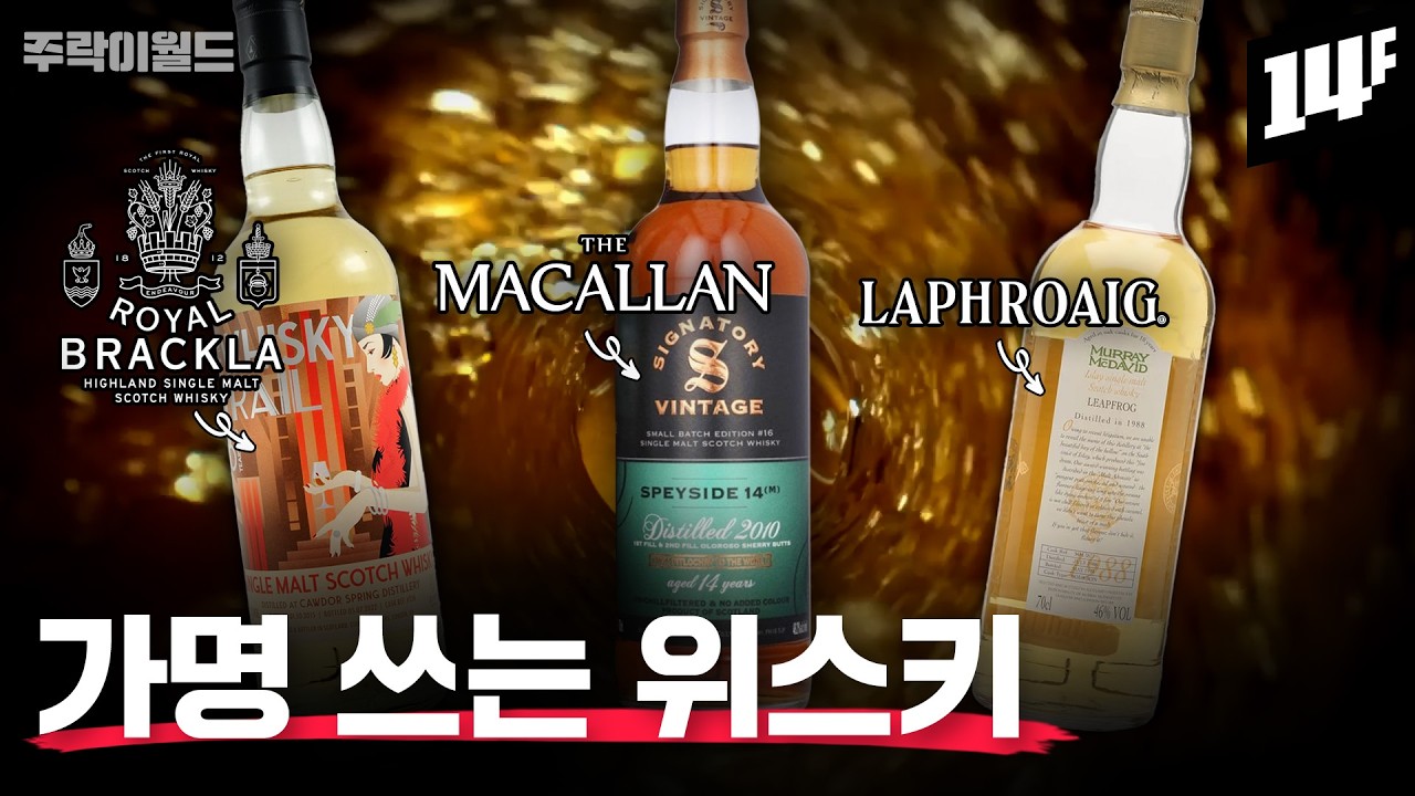 독립병입은 뭐가 다른 걸까? 한번 빠지면 헤어날 길 없는 독병의 세계~  | 주락이월드 / 14F