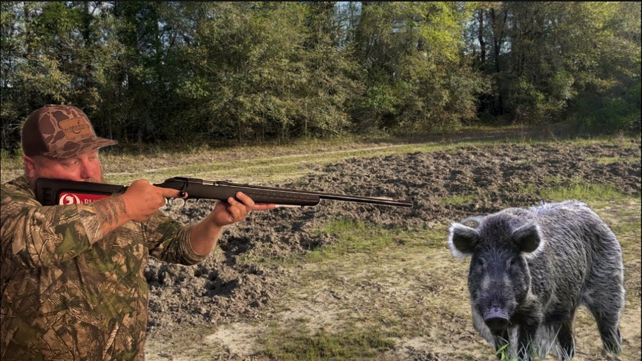 22 Mag vs Wild Hog! Hunting Invasive HOGS in Florida. - Catch Clean Cook -