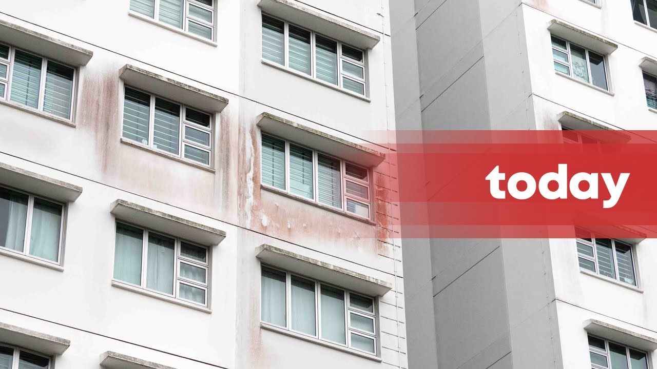 Punggol BTO residents also complain of mouldy facade