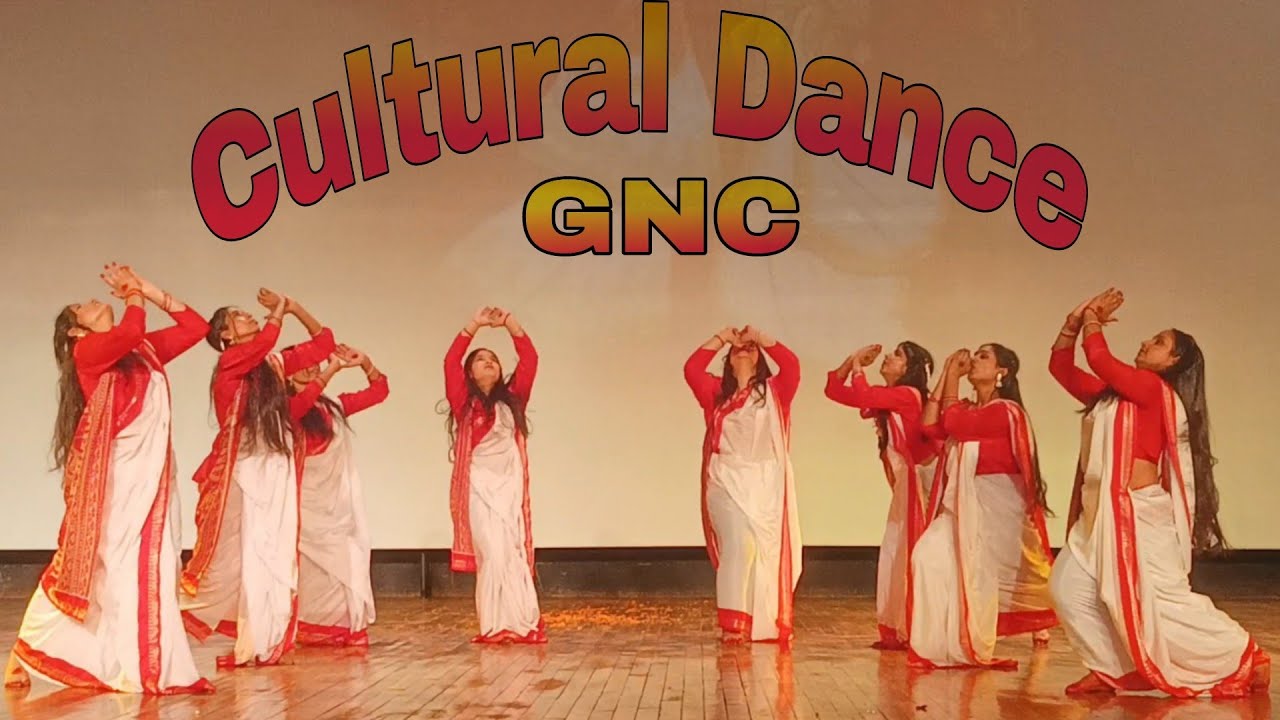 Cultural Dance 🪩 on SNA PROGRAMS#bscnursingstudent #gnc #haldwani #culturaldance ✨🔥