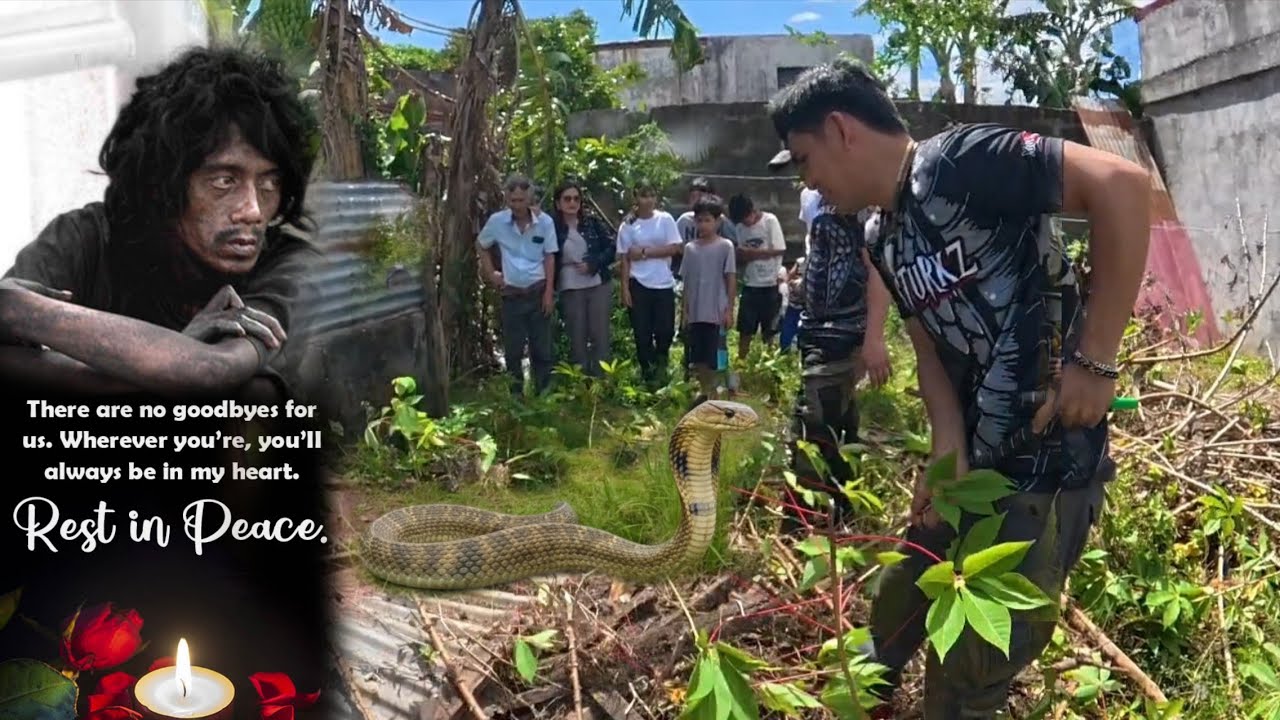 NABALIW SA HINALANG NAKAGAT NG COBRA ANG ISANG MATIPUNONG LALAKE#cobraprince 