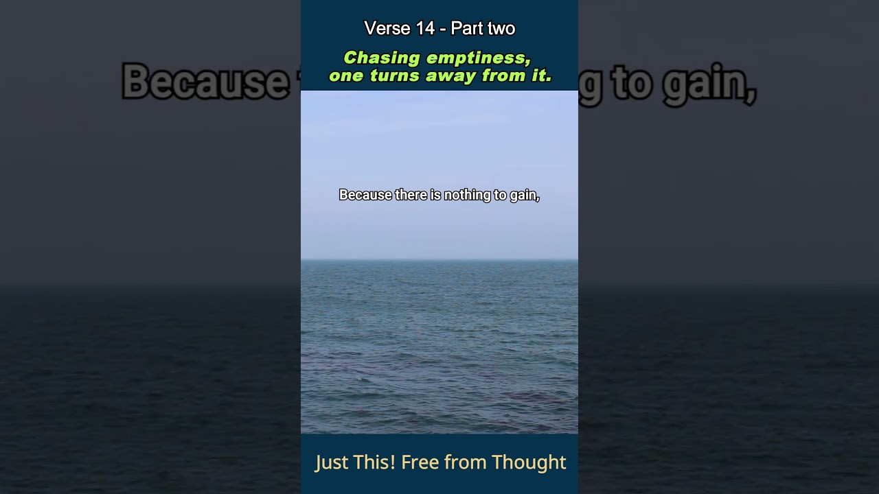 Just This! Free from Thought. Verse 14 - Part two #zen #dharmatalks  #faithinmind #koreanbuddhism