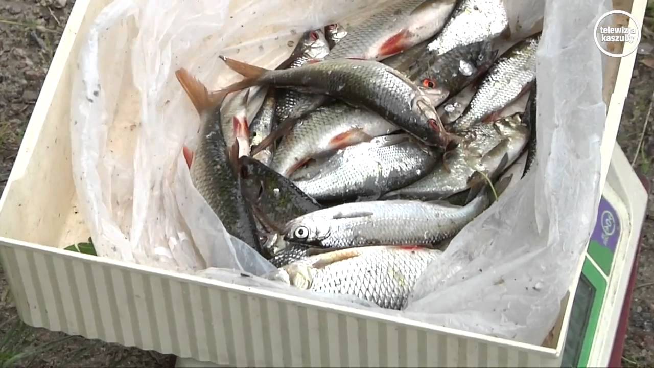 Spotkanie straży rybackiej