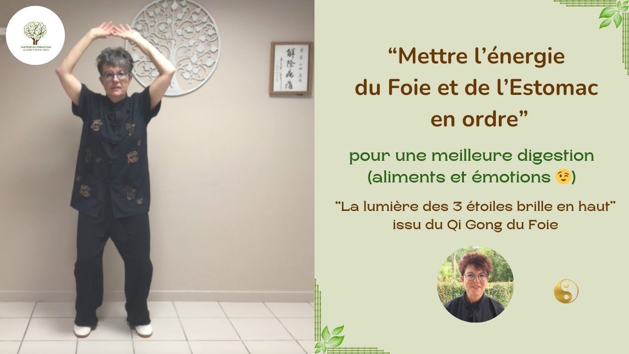 ☯️ Mettre l'énergie du Foie et de l'Estomac en ordre pour une digestion corps-émotions équilibrée