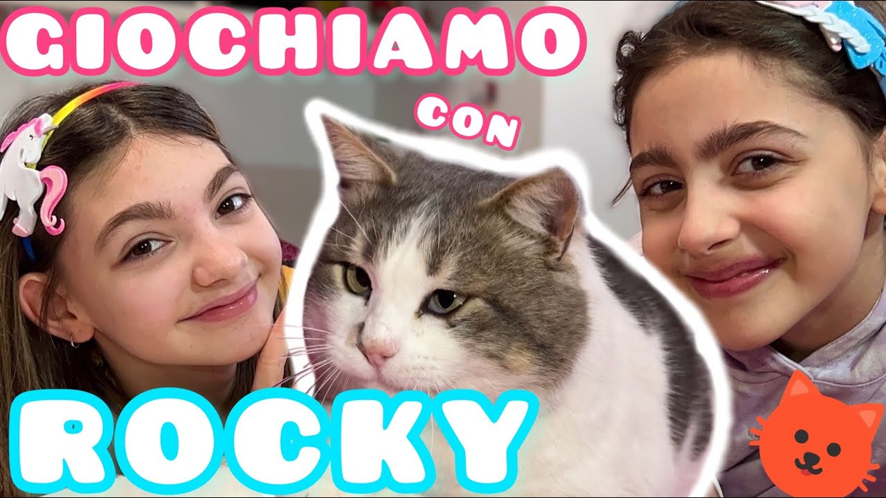 ROCKY IL NOSTRO GATTO