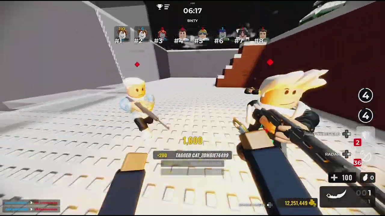 I am a true knife pro