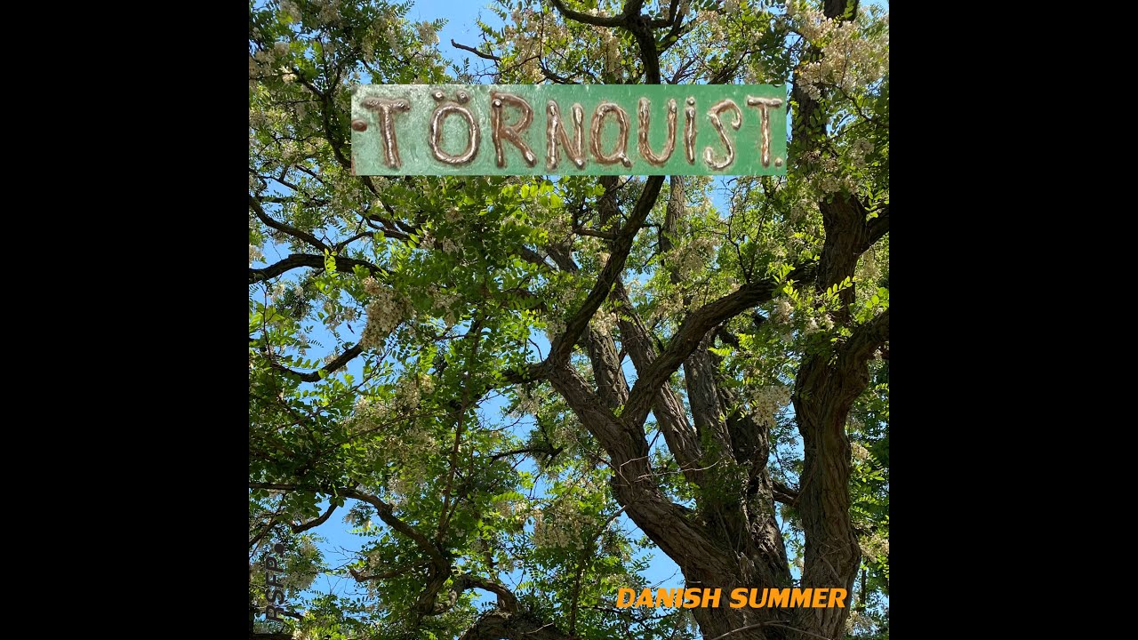 Danish Summer - Oficial Video