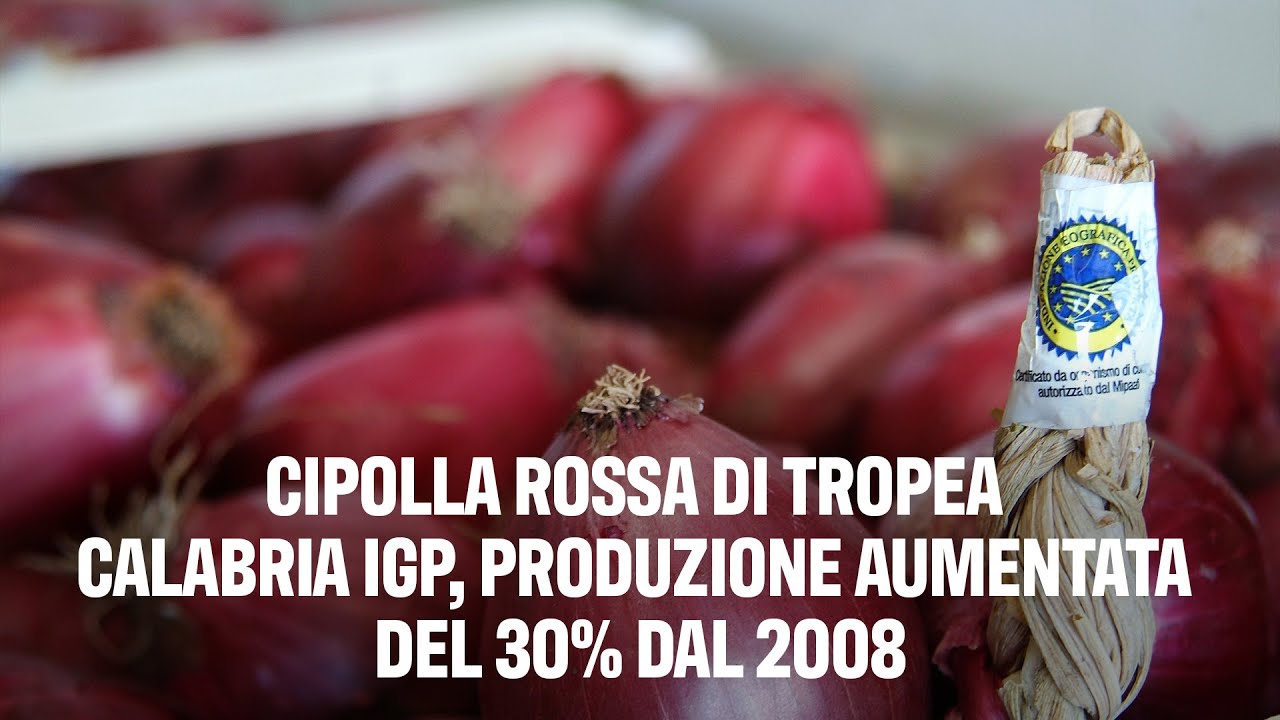 Cipolla Rossa di Tropea Calabria Igp, produzione aumentata del 30% dal 2008