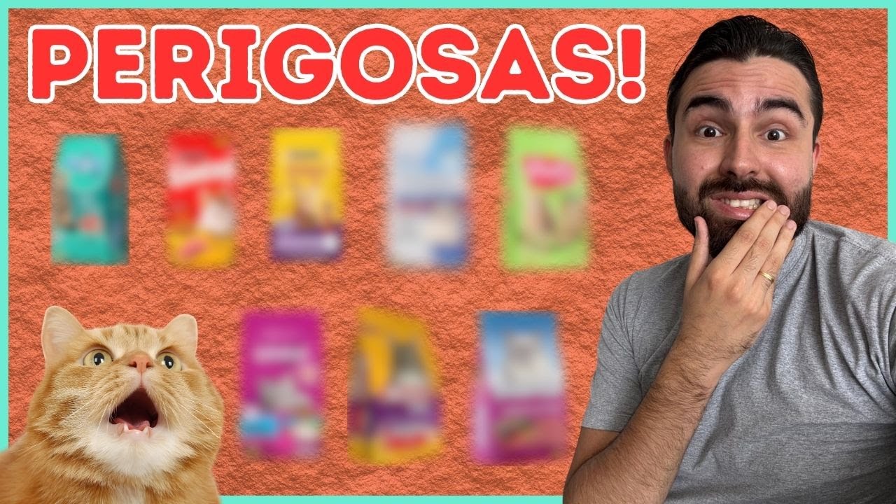 ⚠️10 RAÇÕES PROIBIDAS Para Dar Aos Gatos!