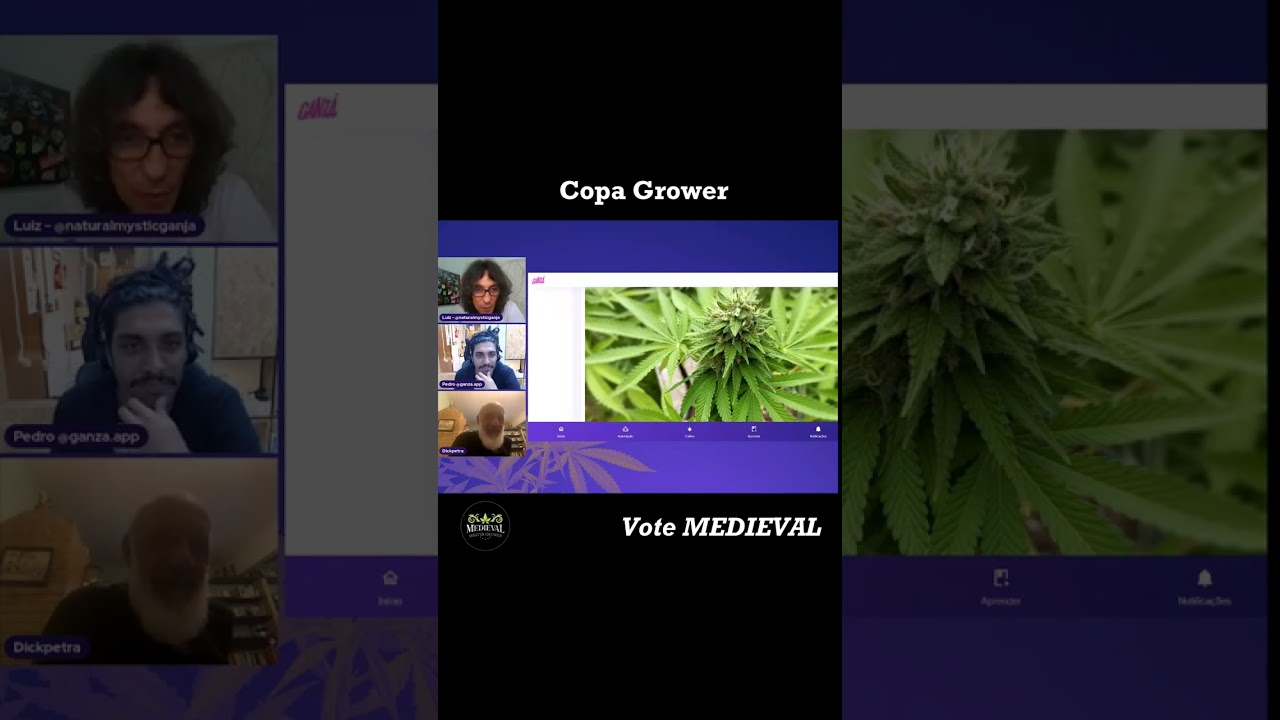 MEDIEVAL 🏰 - Copa Grower 2023/2024