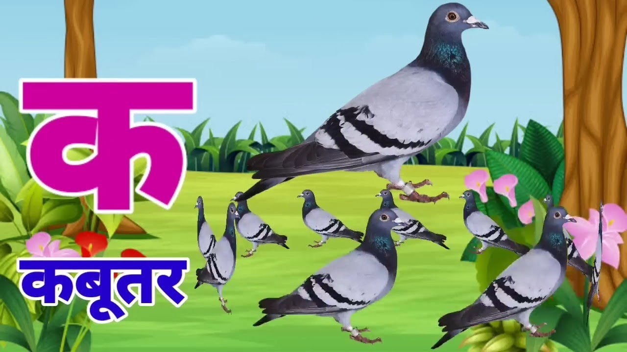 क से कबूतर, अ से अनार | A se Anaar, K se Kabutar | Hindi Varnmala | ABCD Song
