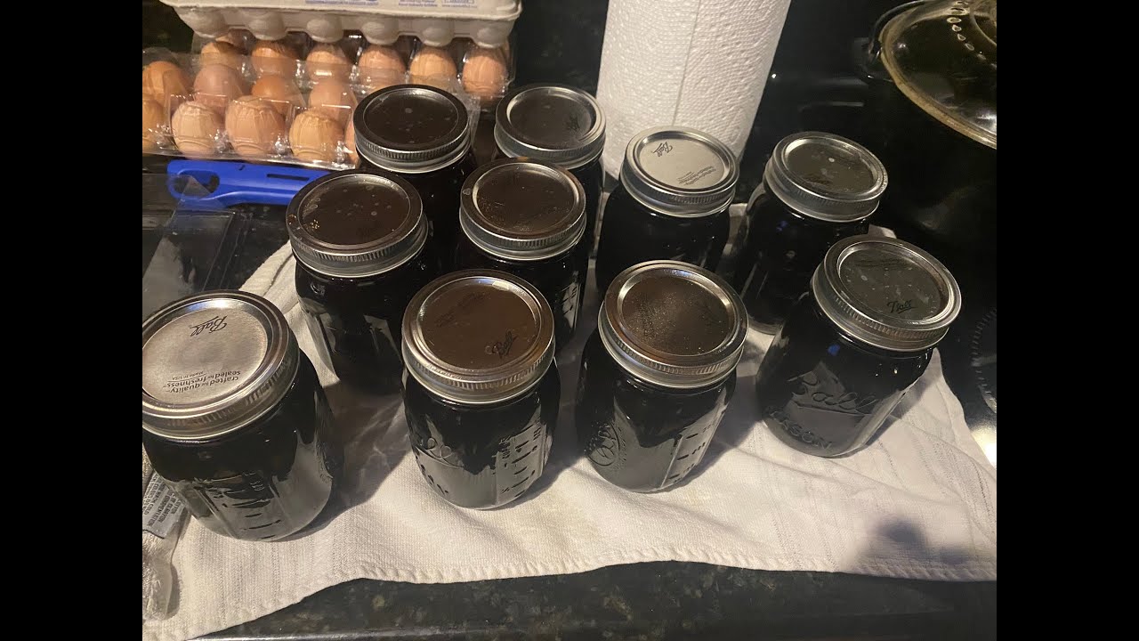Week 95 Meat Chicken Update