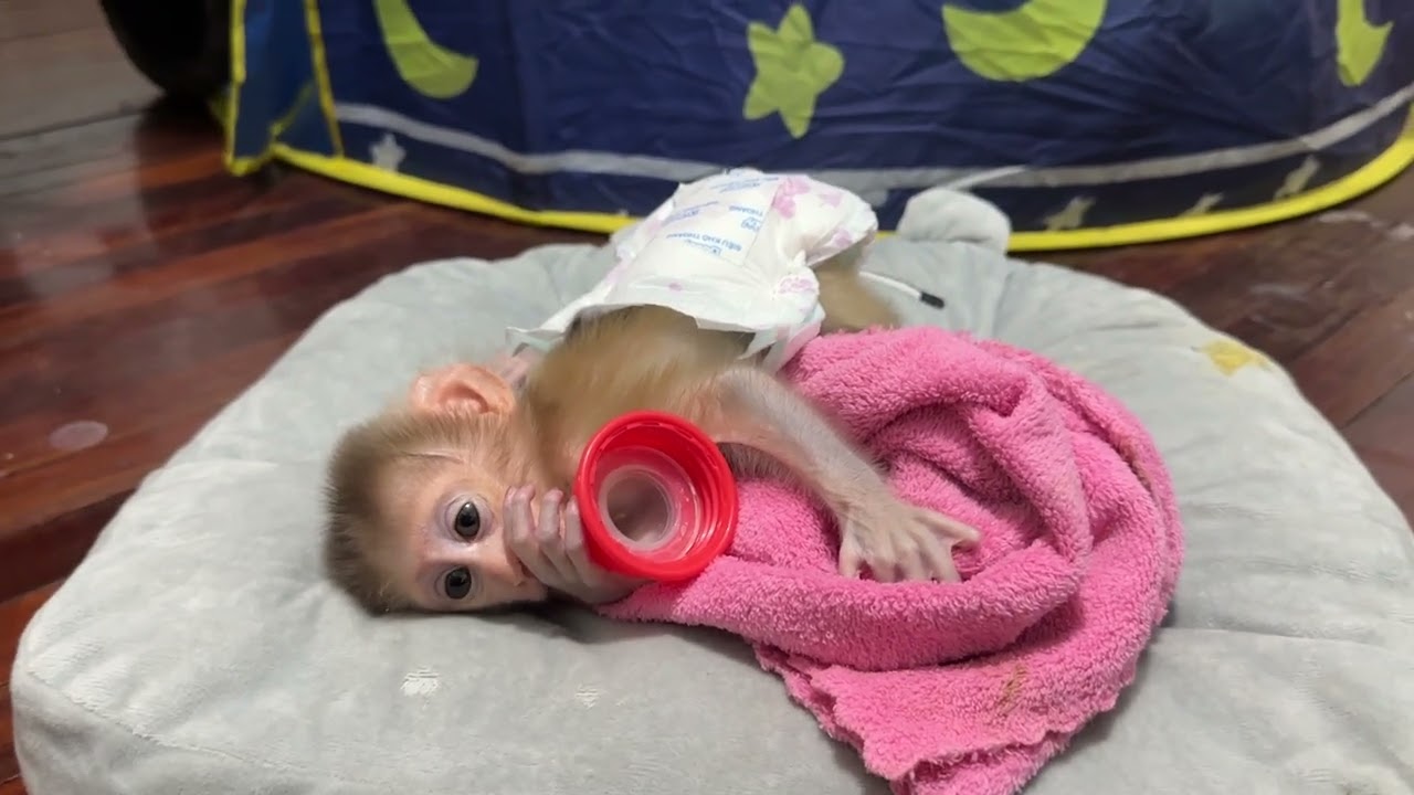 Time to sleep 